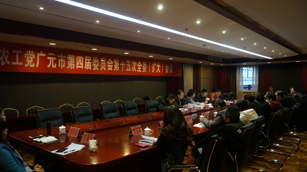 農(nóng)工黨廣元市委會(huì)召開四屆十五次全委（擴(kuò)大）會(huì)議.JPG