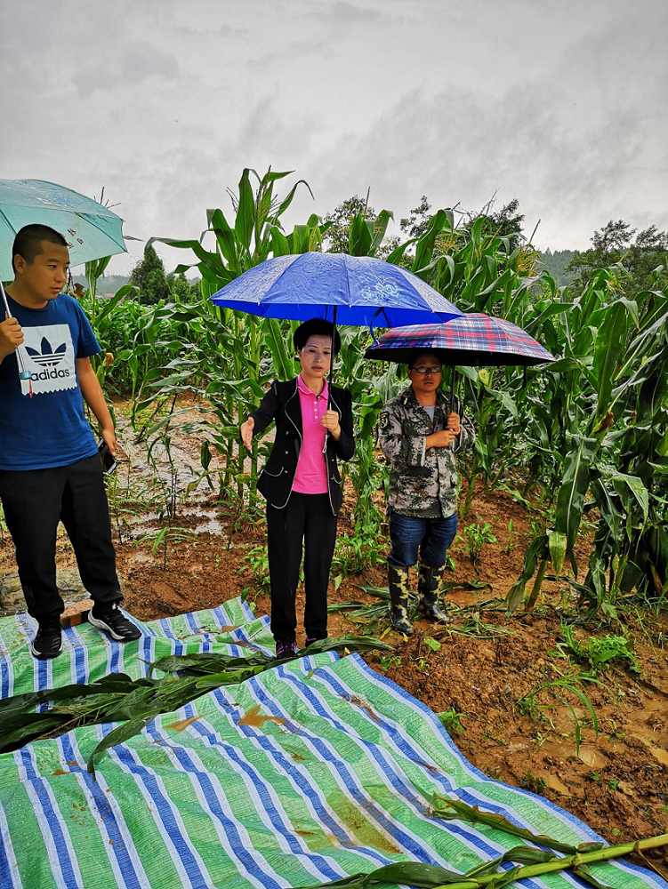 04 農工黨劍閣縣總支主委、劍閣縣政協副主席周清秀（中）帶領農工黨劍閣縣總支一行赴掛聯鄉鎮柏埡鄉指導抗洪搶險工作.png