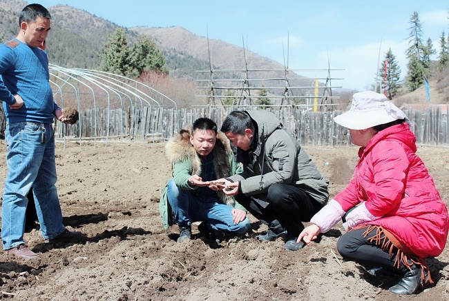 02 肖剛（左二）陪同四川方林林羊肚菌農(nóng)業(yè)科技有限公司到若爾蓋實(shí)地考察.jpg