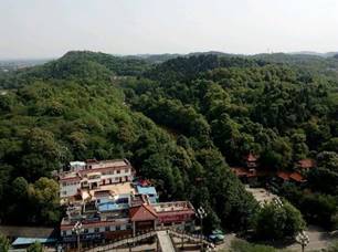 05 東湖山郁郁蔥蔥.jpg