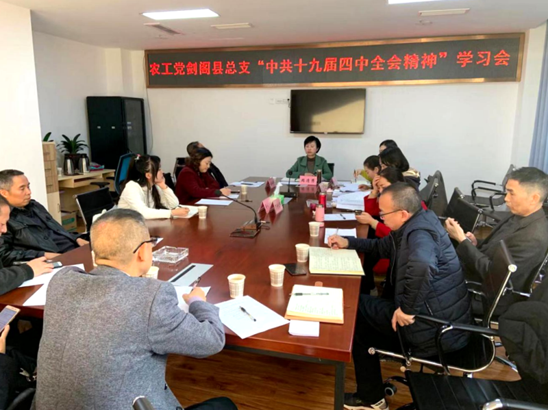800 農工黨劍閣縣總支學習傳達十九屆四中全會精神.png