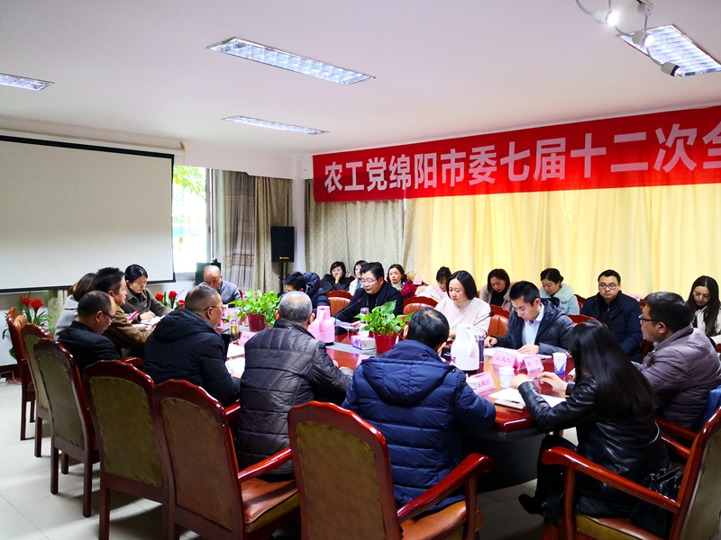 農工黨綿陽市委召開七屆十二次全委（擴大）會800.jpg